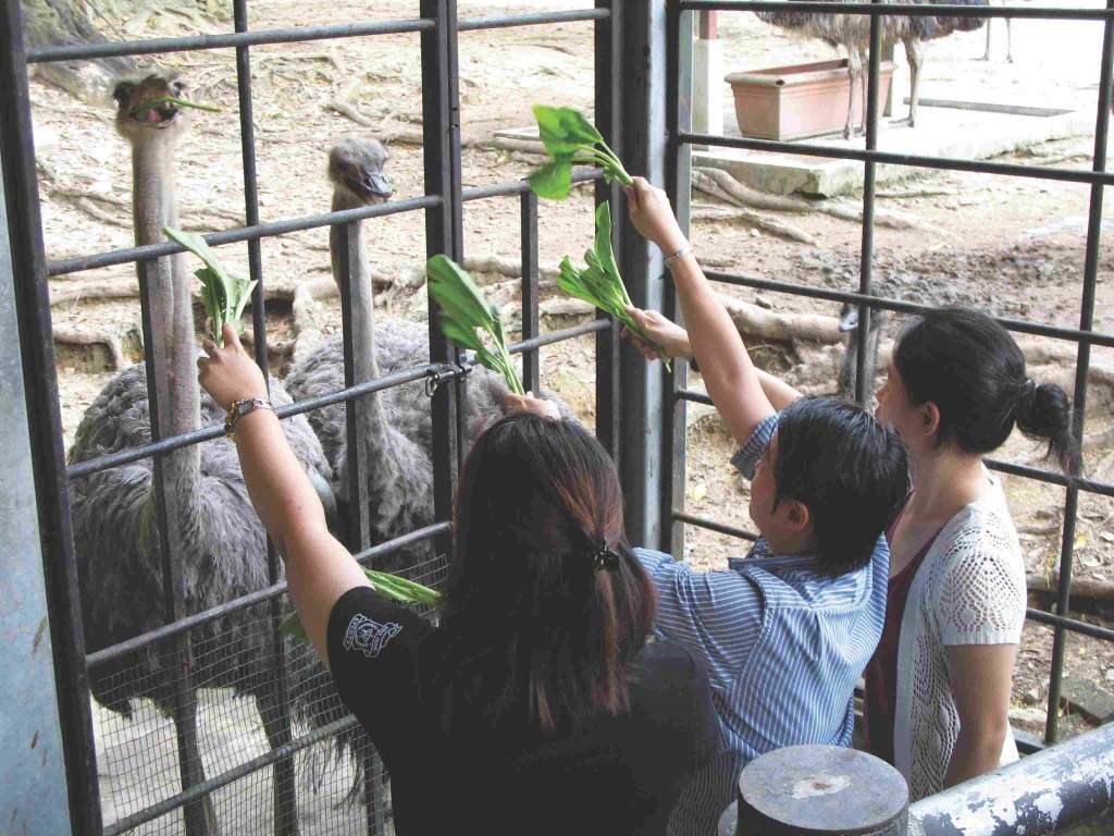 KL Bird Park photo 2