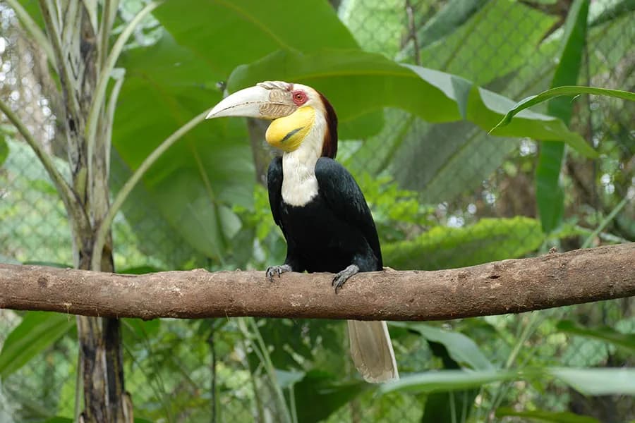 Zoo Negara Malaysia photo 2