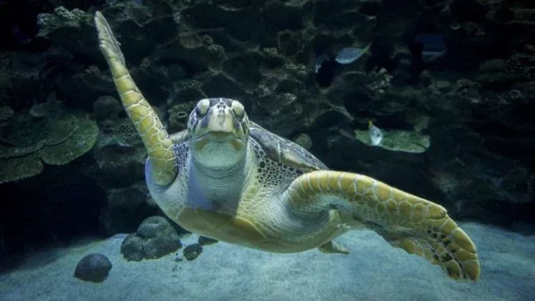 Aquaria KLCC