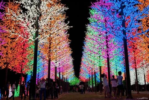 i-City Leisure Park